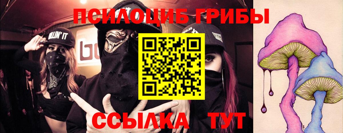 Псилоцибиновые грибы мухоморы Асино