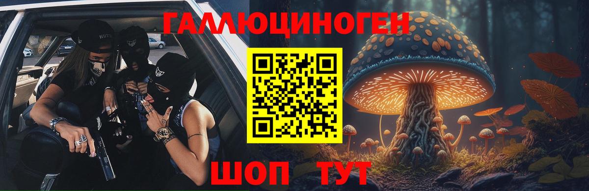 купить наркоту  Вход с VPN  Асино  Галлюциногенные грибы Psilocybine cubensis 